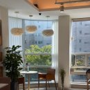 쏘큐트 펫살롱 | 대구 율하동 미용실 살롱드부래미 율하점｜레이어드컷 + 히메컷으로 분위기 전환