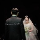 워커힐 비스타홀 본식 스냅 후기_김태우포토 (김태우포토 선택한 이유와 만족한 이유)