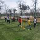 금장태권도장 이미지