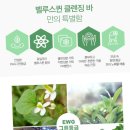 벨루스퀸 - 평택시 | 벨루스퀸