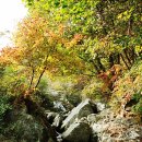 고요환경 이미지