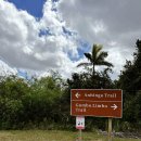 The Shark | 근교 에버글레이즈 국립공원 | 아이와 마이애미여행, 만 6세 주니어레인저 후기, 마이애미 2월 날씨