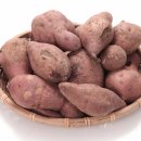 포그니병원 이미지