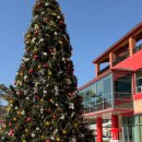 더레드하우스 베이커리카페 이미지