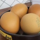 내덕탕 | 김해장유 내덕동맛집 [신가네 한우곰탕] 방문후기