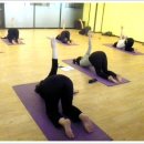 일반요가 이미지