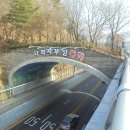 관악지맥(2)[관악산(629m)-까치산-서달산(179m)] [25.03.11(화)] 3 이미지