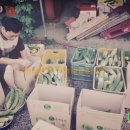 윤씨농장 이미지