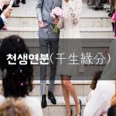 천생연분 이미지