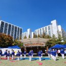 용인대석사청무태권도 | 블루드래곤시범단, 화려한 태권도·합기도 공연 선보여