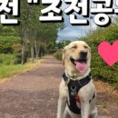 겨울나는나비동물병원 네이버블로그