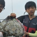 오늘도 쭈꾸미 이미지