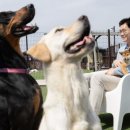 (주)수도종합관리 펫노트