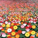 감성과학 이미지