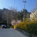 바다가 좋아 | 울진 카페 추천 바다가 보이는 바다 뷰 카페 "카페 파로" 후기