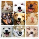 도통초등학교 이미지