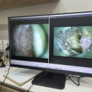 초곡나무동물병원 이미지