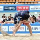 괴산군청