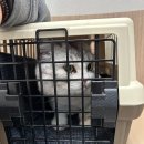 이담메디칼 이미지