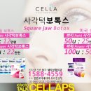 사계절치과의원 이미지