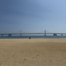 노모어 피자(광안리점) 네이버블로그
