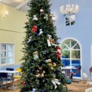 달베어 케이크 이미지