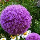 충청남도 서부 장애인종합복지관 이미지