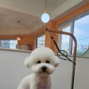 르까듀 이미지