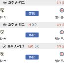 정관장하나
