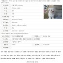 디아크동물종합병원 이미지