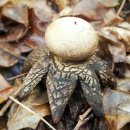 더플레이스34 이미지