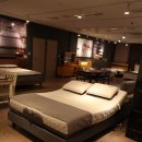 BMCO | 온천동 유림노르웨이숲 취향저격 쩔어!