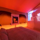 Tree Pet(트리펫) 이미지