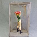 베가소프트 이미지