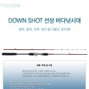 [동와] 다운샷 DOWN SHOT 바다선상낚시대 49,000원 오징어, 무늬오징어,문어,대구, 광어 참돔 만능 바다루어 낚시대 이미지