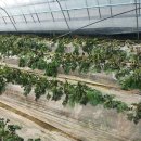 곡성-135 이미지