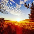 태흥목장 이미지