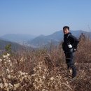 석곡 노루목 Daum카페