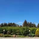 제주머무리 이미지