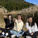 민속사슴목장 네이버블로그