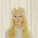 꽃길라이브