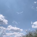 새하늘내과의원 이미지