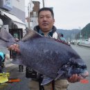 강담 이미지