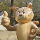 진부한의원 이미지