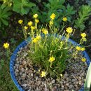 영락농원 이미지