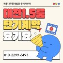 더플러스부동산중개사무소 | 대전1.5룸단기계약 봉명동 플러스빌라 - 진짜 살기 좋은 이유가 따로 있음.