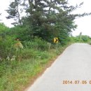 도일목장 이미지