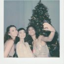 노블캐터리(Noble cattery) | 크리스마스 트리 설치 및 대여 전문 업체 전국 임대 렌탈 가능