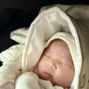 연세사랑모아여성병원 이미지