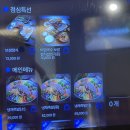 굿족발보쌈 조대점 | 부산 하단 맛집 &#34;하단 만족 족발&amp;보쌈&#34; 점심특선 비빔국수 보쌈정식 후기